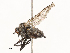  ( - CBG-B21235-G08)  @11 [ ] CreativeCommons - Attribution Share - Alike (2025) CBG Photography Group Centre for Biodiversity Genomics