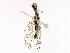  ( - CBG-B21235-H02)  @11 [ ] CreativeCommons - Attribution Share - Alike (2025) CBG Photography Group Centre for Biodiversity Genomics