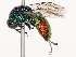  ( - CBG-B21235-H04)  @11 [ ] CreativeCommons - Attribution Share - Alike (2025) CBG Photography Group Centre for Biodiversity Genomics