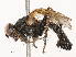  ( - CBG-B21235-H05)  @11 [ ] CreativeCommons - Attribution Share - Alike (2025) CBG Photography Group Centre for Biodiversity Genomics