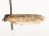  ( - CBG-B21236-B01)  @11 [ ] CreativeCommons - Attribution Share - Alike (2025) CBG Photography Group Centre for Biodiversity Genomics
