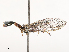  ( - CBG-B21236-B07)  @11 [ ] CreativeCommons - Attribution Share - Alike (2025) CBG Photography Group Centre for Biodiversity Genomics