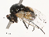  ( - CBG-B21236-E08)  @11 [ ] CreativeCommons - Attribution Share - Alike (2025) CBG Photography Group Centre for Biodiversity Genomics