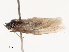 ( - CBG-B21236-F03)  @11 [ ] CreativeCommons - Attribution Share - Alike (2025) CBG Photography Group Centre for Biodiversity Genomics