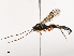  ( - CBG-B21241-A05)  @11 [ ] CreativeCommons - Attribution Share - Alike (2025) CBG Photography Group Centre for Biodiversity Genomics