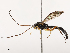  ( - CBG-B21241-A07)  @11 [ ] CreativeCommons - Attribution Share - Alike (2025) CBG Photography Group Centre for Biodiversity Genomics