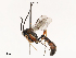  ( - CBG-B21241-G05)  @11 [ ] CreativeCommons - Attribution Share - Alike (2025) CBG Photography Group Centre for Biodiversity Genomics