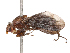  ( - CBG-B21312-D01)  @11 [ ] CreativeCommons - Attribution Share - Alike (2025) CBG Photography Group Centre for Biodiversity Genomics