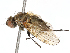  ( - CBG-B21312-H11)  @11 [ ] CreativeCommons - Attribution Share - Alike (2025) CBG Photography Group Centre for Biodiversity Genomics