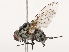  ( - CBG-B21316-A09)  @11 [ ] CreativeCommons - Attribution Share - Alike (2025) CBG Photography Group Centre for Biodiversity Genomics