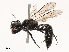  ( - CBG-B21318-G09)  @11 [ ] CreativeCommons - Attribution Share - Alike (2025) CBG Photography Group Centre for Biodiversity Genomics