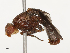  ( - CBG-B23315-A09)  @11 [ ] CreativeCommons - Attribution Share - Alike (2025) CBG Photography Group Centre for Biodiversity Genomics