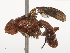  ( - CBG-B23315-B02)  @11 [ ] CreativeCommons - Attribution Share - Alike (2025) CBG Photography Group Centre for Biodiversity Genomics