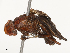  ( - CBG-B23315-B07)  @11 [ ] CreativeCommons - Attribution Share - Alike (2025) CBG Photography Group Centre for Biodiversity Genomics