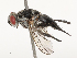  ( - CBG-B23315-C07)  @11 [ ] CreativeCommons - Attribution Share - Alike (2025) CBG Photography Group Centre for Biodiversity Genomics