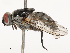  ( - CBG-B23315-D07)  @11 [ ] CreativeCommons - Attribution Share - Alike (2025) CBG Photography Group Centre for Biodiversity Genomics