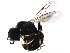  ( - BIOUG11682-G10)  @14 [ ] CreativeCommons - Attribution (2016) CBG Photography Group Centre for Biodiversity Genomics
