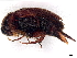  ( - BIOUG15866-F07)  @11 [ ] CreativeCommons - Attribution (2023) CBG Photography Group Centre for Biodiversity Genomics