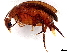  ( - BIOUG15866-G03)  @11 [ ] CreativeCommons - Attribution (2023) CBG Photography Group Centre for Biodiversity Genomics