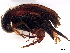 ( - BIOUG15870-B05)  @11 [ ] CreativeCommons - Attribution (2023) CBG Photography Group Centre for Biodiversity Genomics