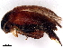  ( - BIOUG26175-B08)  @11 [ ] CreativeCommons - Attribution (2023) CBG Photography Group Centre for Biodiversity Genomics