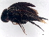  ( - BIOUG26688-A09)  @11 [ ] CreativeCommons - Attribution (2023) CBG Photography Group Centre for Biodiversity Genomics