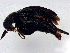  ( - BIOUG27432-F03)  @11 [ ] CreativeCommons - Attribution (2023) CBG Photography Group Centre for Biodiversity Genomics