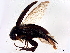  ( - BIOUG37624-G07)  @11 [ ] CreativeCommons - Attribution (2023) CBG Photography Group Centre for Biodiversity Genomics