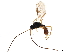  ( - BIOUG37702-E02)  @13 [ ] CreativeCommons - Attribution (2019) CBG Photography Group Centre for Biodiversity Genomics