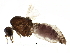 ( - BIOUG14651-D11)  @13 [ ] CreativeCommons - Attribution (2015) CBG Photography Group Centre for Biodiversity Genomics
