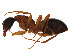  ( - BIOUG50821-H10)  @11 [ ] CreativeCommons - Attribution Share - Alike (2023) CBG Photography Group Centre for Biodiversity Genomics