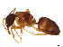 ( - BIOUG51872-D12)  @11 [ ] CreativeCommons - Attribution Share - Alike (2023) CBG Photography Group Centre for Biodiversity Genomics