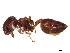  ( - BIOUG51899-E10)  @11 [ ] CreativeCommons - Attribution Share - Alike (2023) CBG Photography Group Centre for Biodiversity Genomics