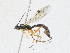  ( - CBG-A15039-A06)  @11 [ ] CreativeCommons - Attribution Share - Alike (2023) CBG Photography Group Centre for Biodiversity Genomics