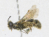  ( - CBG-A15039-A09)  @11 [ ] CreativeCommons - Attribution Share - Alike (2023) CBG Photography Group Centre for Biodiversity Genomics