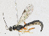  ( - CBG-A15039-F02)  @11 [ ] CreativeCommons - Attribution Share - Alike (2023) CBG Photography Group Centre for Biodiversity Genomics
