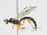  ( - CBG-A15039-F03)  @11 [ ] CreativeCommons - Attribution Share - Alike (2023) CBG Photography Group Centre for Biodiversity Genomics
