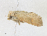  ( - CBG-A15039-F07)  @11 [ ] CreativeCommons - Attribution Share - Alike (2023) CBG Photography Group Centre for Biodiversity Genomics