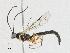  ( - CBG-A21641-C03)  @11 [ ] CreativeCommons - Attribution Share - Alike (2023) CBG Photography Group Centre for Biodiversity Genomics