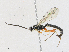 ( - CBG-A21641-C04)  @11 [ ] CreativeCommons - Attribution Share - Alike (2023) CBG Photography Group Centre for Biodiversity Genomics