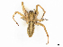  ( - CBG-A21641-H09)  @11 [ ] CreativeCommons - Attribution Share - Alike (2023) CBG Photography Group Centre for Biodiversity Genomics