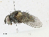  ( - CBG-A18383-A11)  @11 [ ] CreativeCommons - Attribution Share - Alike (2023) CBG Photography Group Centre for Biodiversity Genomics