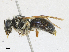  ( - CBG-A21642-B05)  @11 [ ] CreativeCommons - Attribution Share - Alike (2023) CBG Photography Group Centre for Biodiversity Genomics