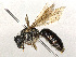  ( - CBG-A21642-B06)  @11 [ ] CreativeCommons - Attribution Share - Alike (2023) CBG Photography Group Centre for Biodiversity Genomics