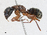  ( - CBG-A21642-C03)  @11 [ ] CreativeCommons - Attribution Share - Alike (2023) CBG Photography Group Centre for Biodiversity Genomics