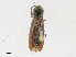 ( - CBG-A21642-D09)  @11 [ ] CreativeCommons - Attribution Share - Alike (2023) CBG Photography Group Centre for Biodiversity Genomics