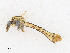  ( - CBG-A21642-H03)  @11 [ ] CreativeCommons - Attribution Share - Alike (2023) CBG Photography Group Centre for Biodiversity Genomics