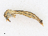  ( - CBG-A21642-H06)  @11 [ ] CreativeCommons - Attribution Share - Alike (2023) CBG Photography Group Centre for Biodiversity Genomics