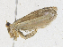  ( - CBG-A21645-D03)  @11 [ ] CreativeCommons - Attribution Share - Alike (2023) CBG Photography Group Centre for Biodiversity Genomics