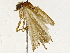  ( - BIOUG91413-H01)  @11 [ ] CreativeCommons - Attribution (2022) CBG Photography Group Centre for Biodiversity Genomics